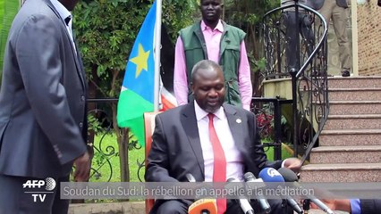 Soudan du Sud: le chef des rebelles en appelle à la médiation