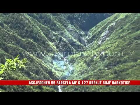 SHKODËR-DUKAGJIN, VIJON OPERACIONI ANTIKANABIS