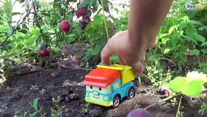 ✔ Мультики про Машинки. Робокар Поли и Дампо собирают сливы на Детской Площадке
