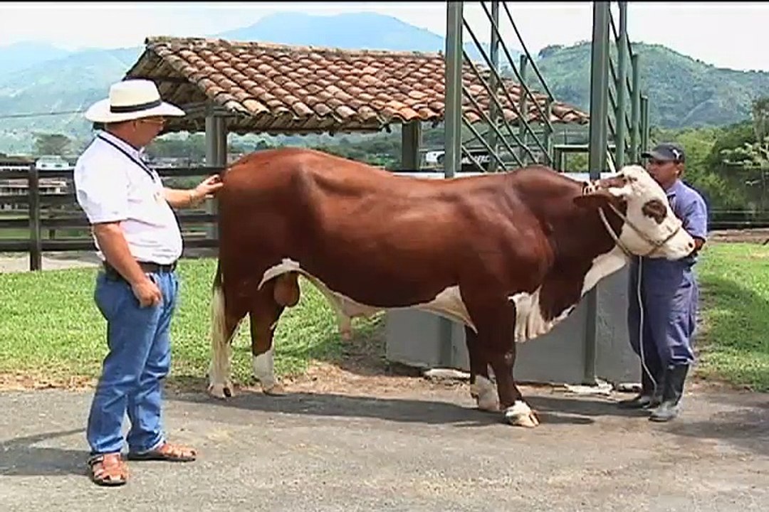 28 de agosto Agropecuaria San Valentin