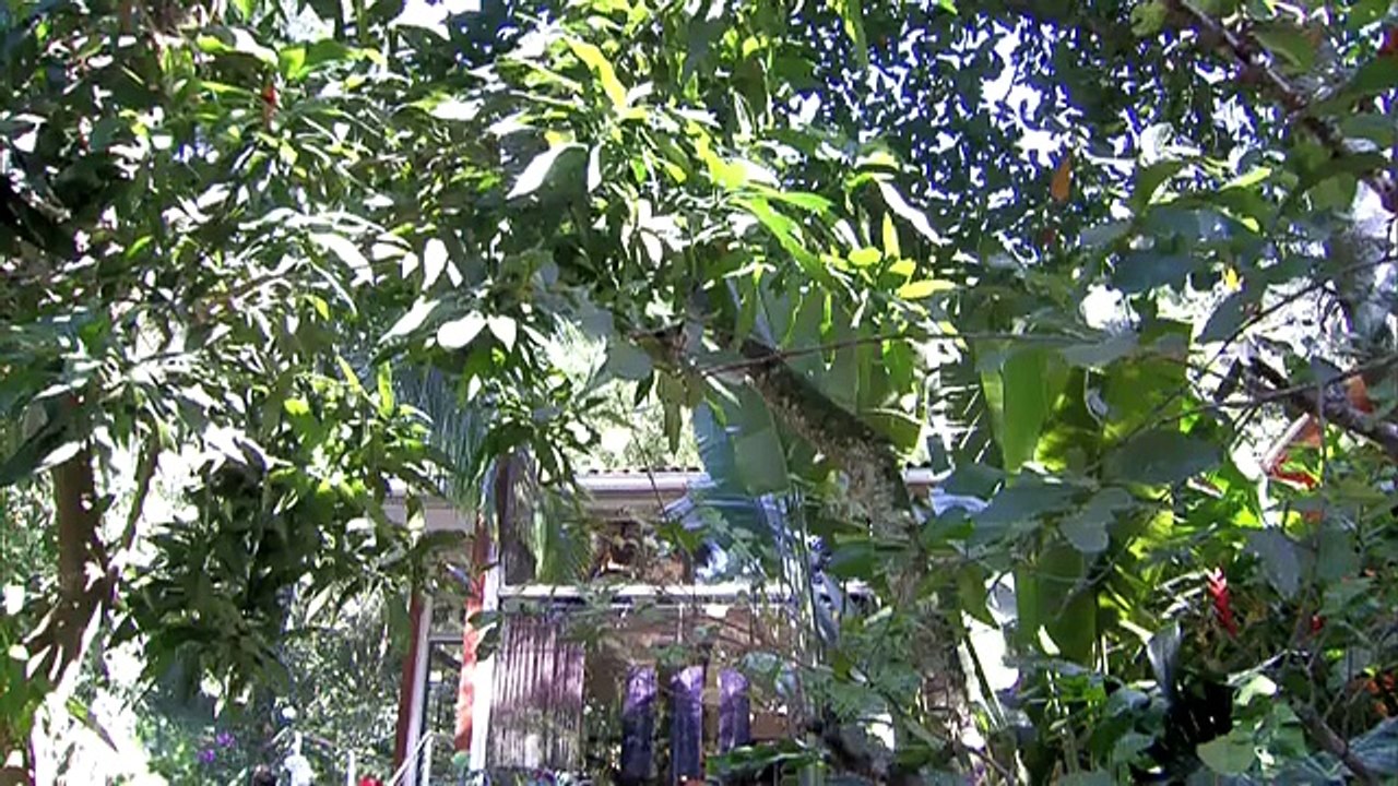 Assistir Programa MAIS VOCÊ Super Chef Celebridades 2015 [TV Globo] 31-08-2015 Parte Única Online Completo