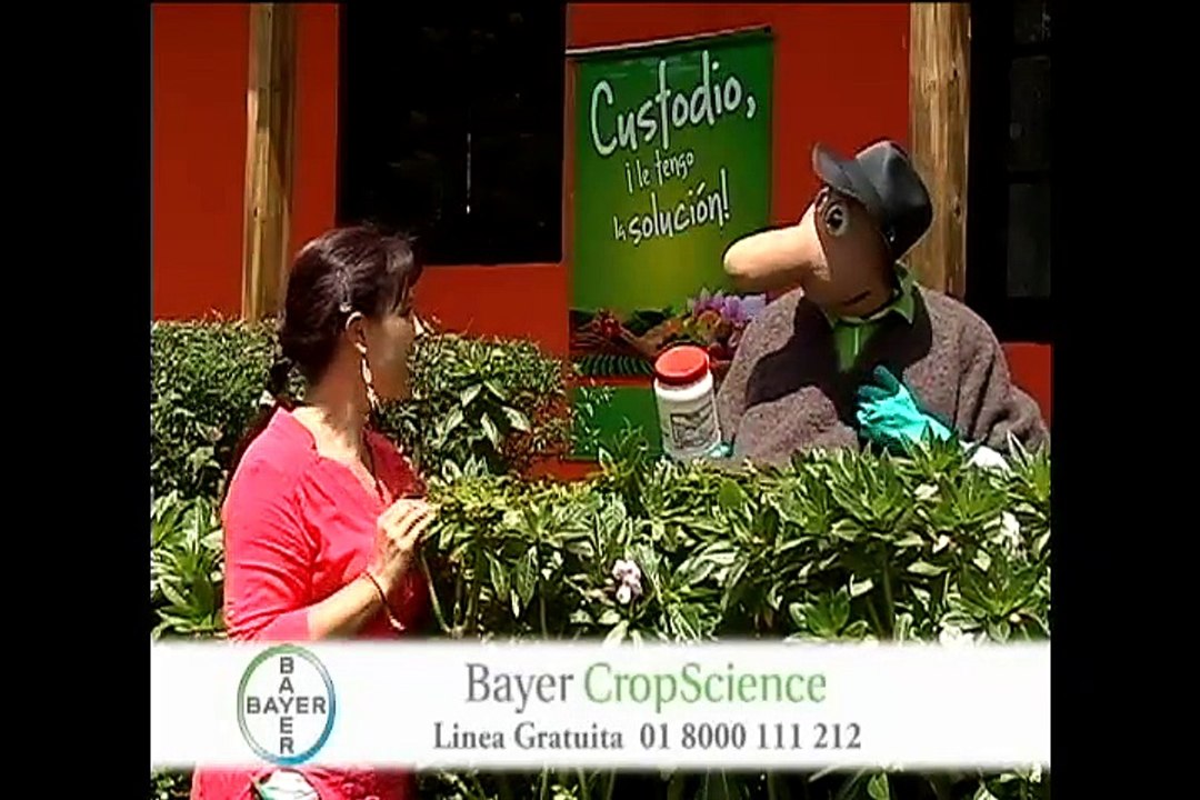 27 de agosto de 2015 Municipio de El Retorno 2 (2)