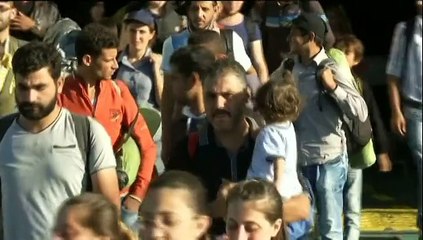 Afflux des demandeurs d'asile en France : qui sont-ils et d'où viennent-ils ?