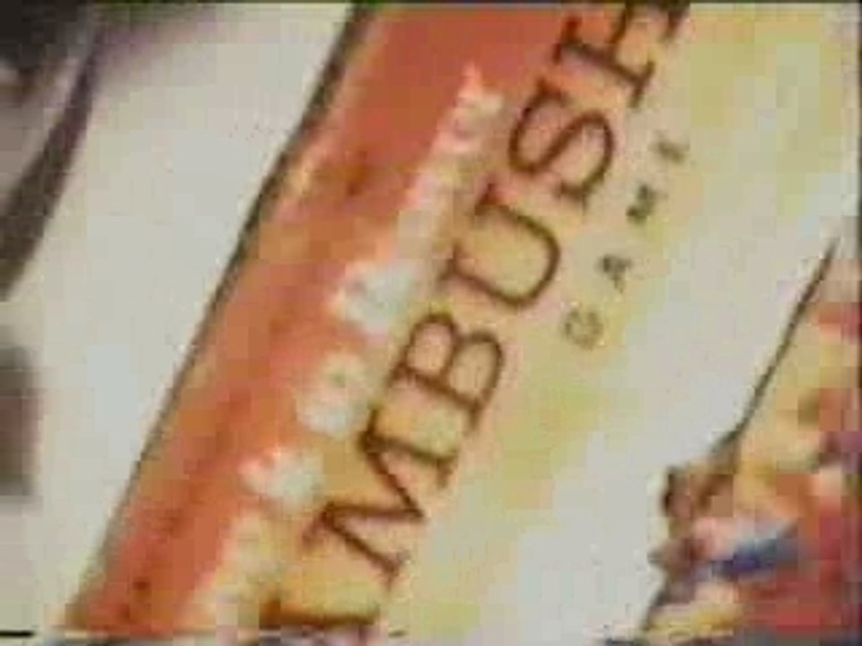 Nirvana - Sliver (Music Video)