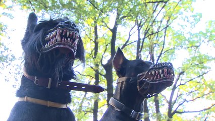 Divertida ou assustadora? Russa cria focinheira bizarra para cães