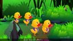 Five Little Ducks Nursery Rhyme With Lyrics   Cartoon Animation Rhymes & Songs for Children