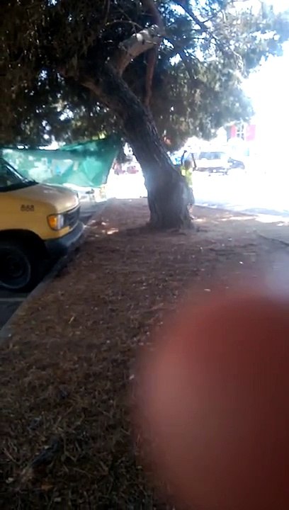 Funny kid hitting tree part2