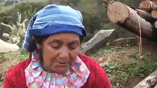 Nacion Mapuche _ Olvidados El pueblo Mapuche, una historia de resistencia