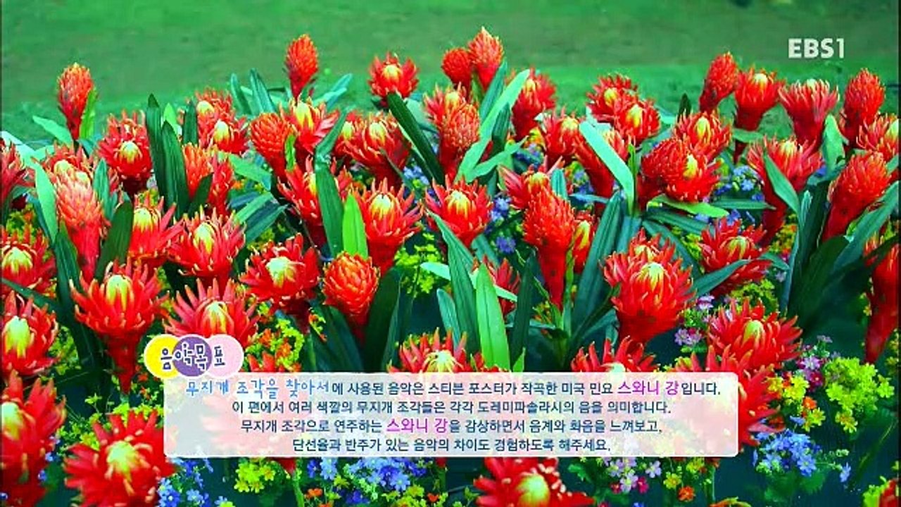 코코코 다코.E02.150901