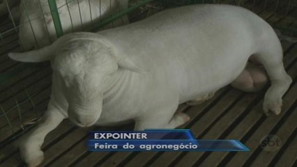 Esteio recebe a maior feira de agronegócio da América Latina