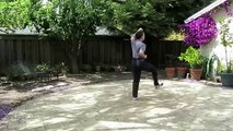 Bak Sil Lum (Northern Shaolin) Kung Fu Tan Tui (Springing Legs) Set