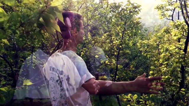 Shaolin Kung Fu Academy - Learn Shaolin Kung Fu in Shaolin Temple