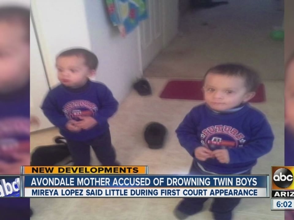 Avondale mother intentionally drowned twin boys