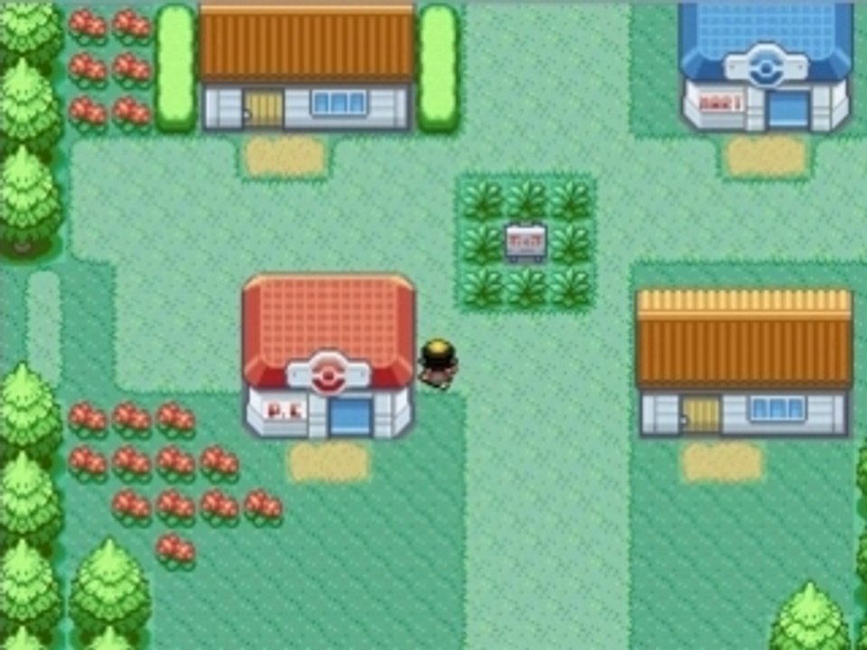 Pokémon Génération Delta ,V1