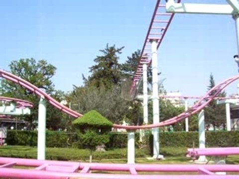 les papillons d'alice