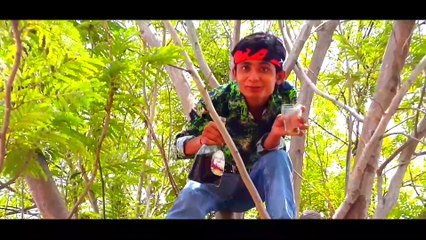 whats app funny video clip by kr digital media