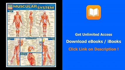 Download Muscular System PDF