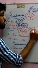 ANTI BIOTICS SPECTRUM EASY WAY part 5