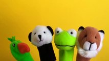 Learn the names of colors with finger family animal finger puppets