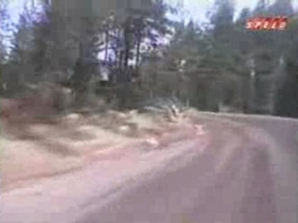 WRC en 2003