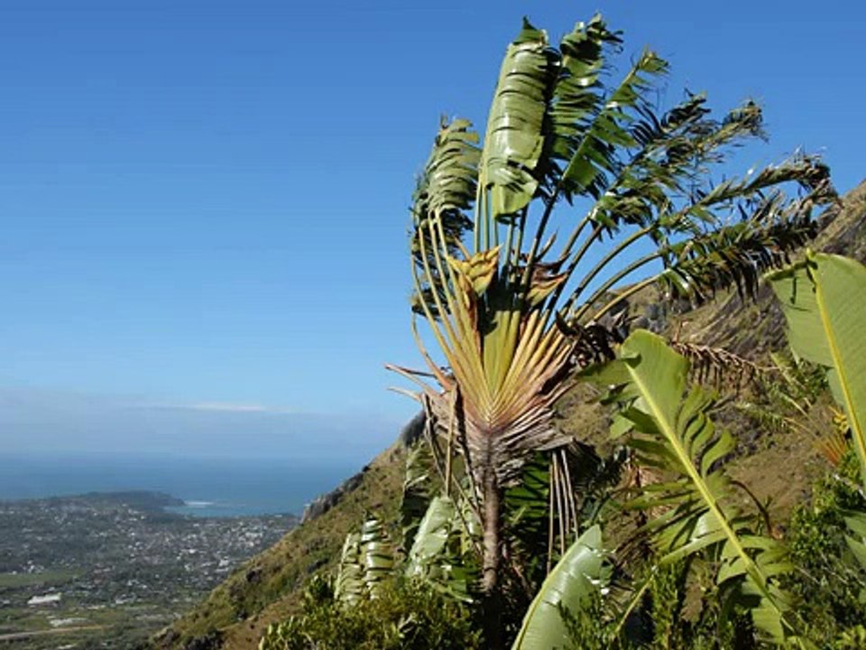 Madagascar 2010-Makay et Fort-Dauphin -- diaporama musical