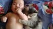 Cute cat loves baby - from funny and cute cats and babies collection