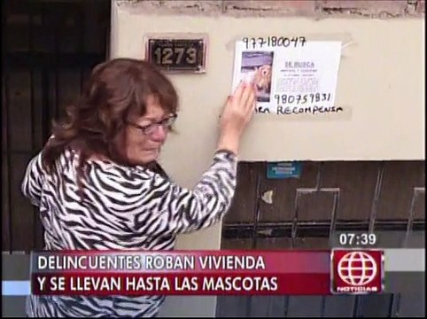 Delincuentes robaron casa y se llevaron hasta las mascotas en Villa María del Triunfo
