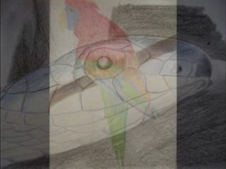 Mes dessins