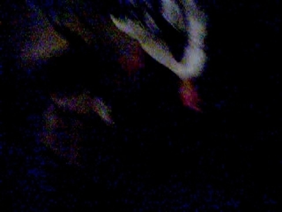 Film d'une pouf sur son pouf qui fait po