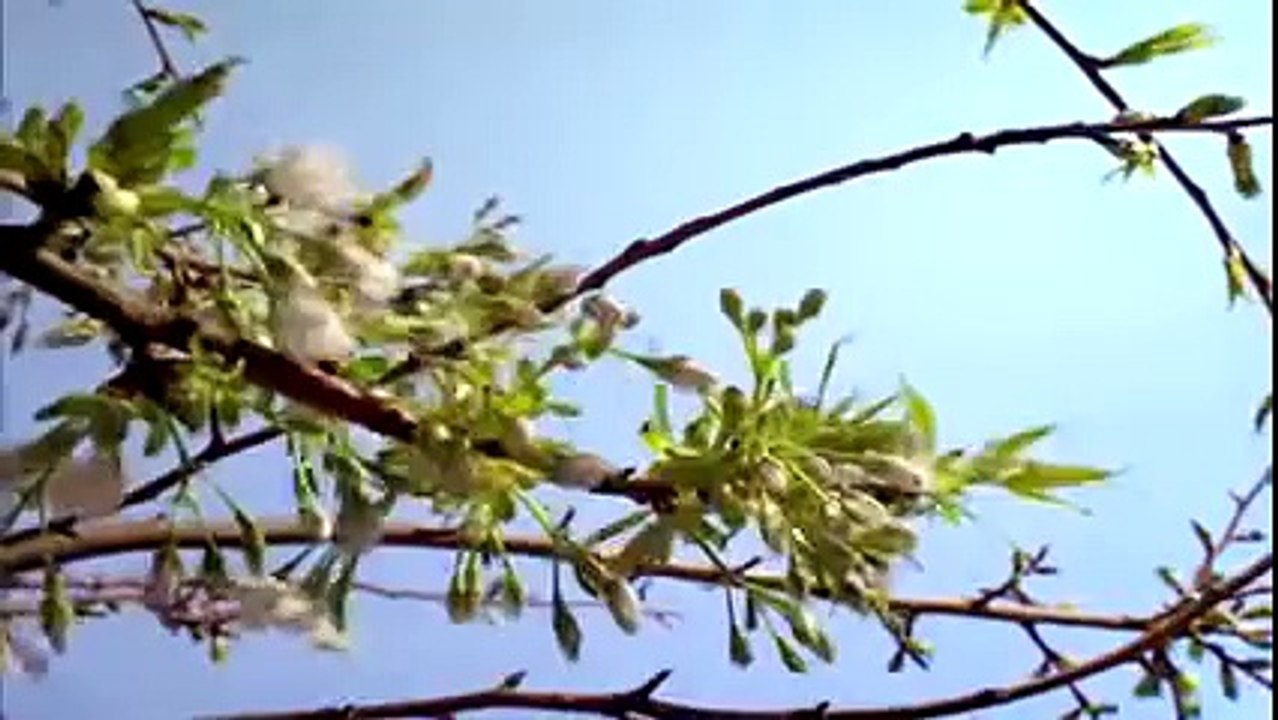 Planet Earth Most Amazing Beautiful Places