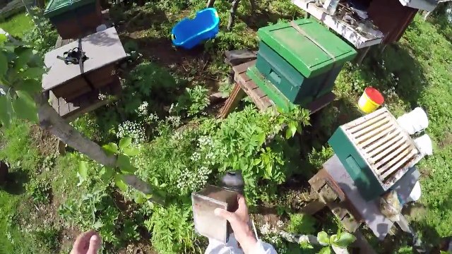 Fyrsta stækkun bús, ungviðarami fluttur upp nr 79 070215