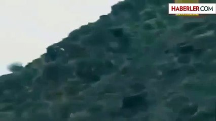 sahin insana saldırıyor  cocugu  parcalıyor