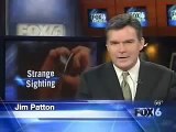 San Diego California UFO fleet caught on camera, Fox News