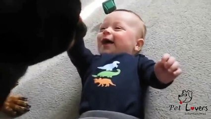 Rottweiler causing baby laugh attack new