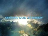 Party Tricks - Seattle Dog Training Classes at Service Dog Academy