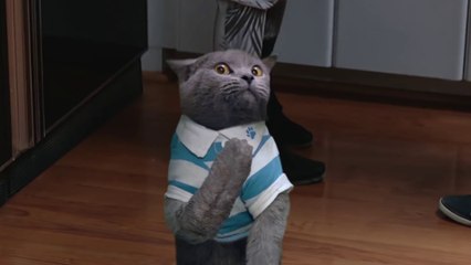 Campagne contre la cigarette et le tabagisme social... WTF??? It's a trap!!!