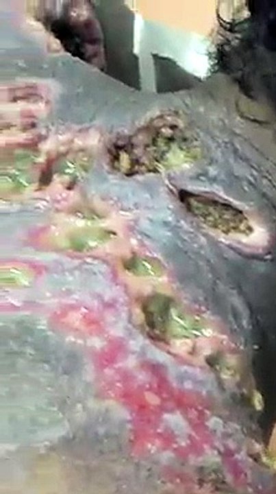 11251328_1645873088979305_30917632_n.mp4