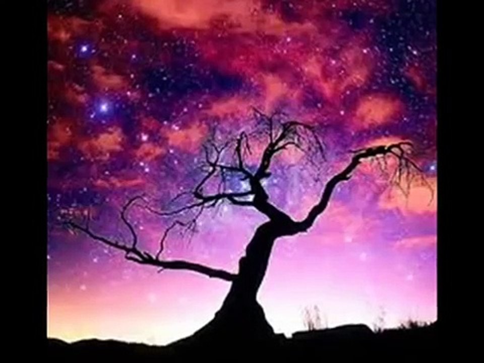 enigma   between mind and heart