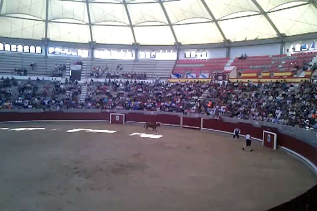 Recortadores Plaza de Toros de Pontevedra 15/08/2010