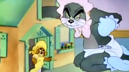 Tom and Jerry super fun , Cat Tom posing as baby