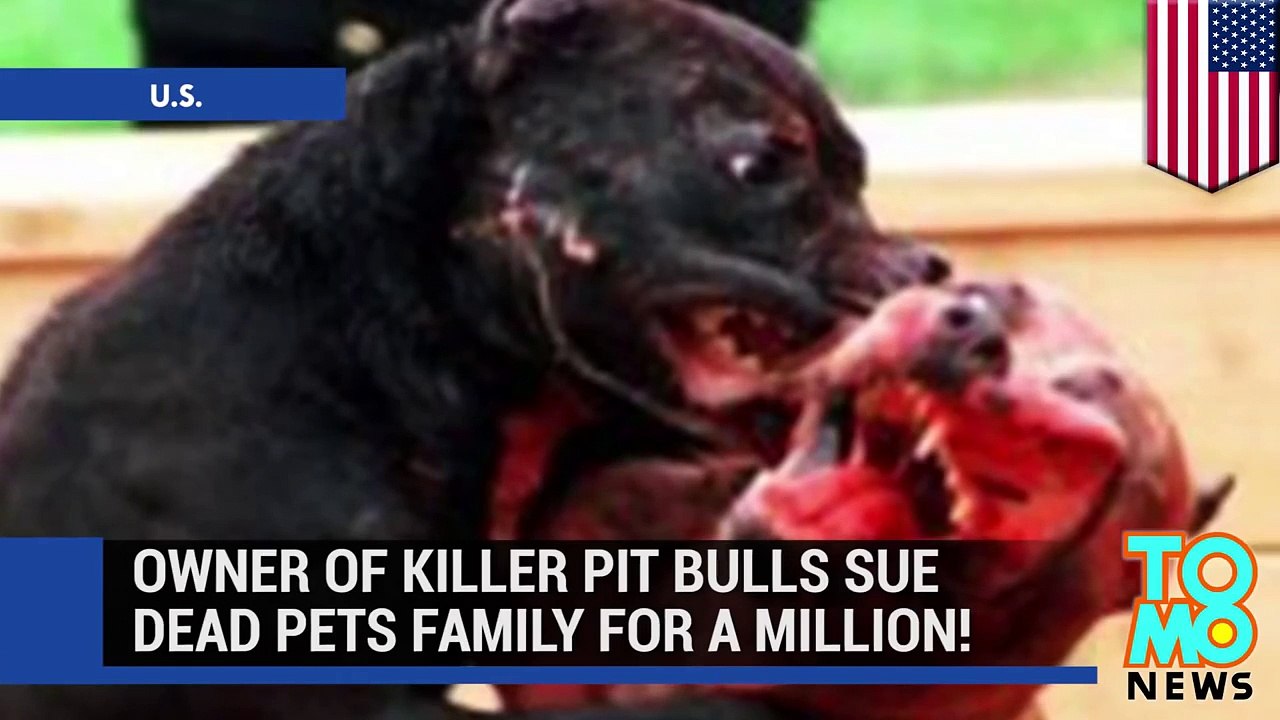 Dog fight  Pit bull owner sues family for $1M dollars after her dogs killed their beagle