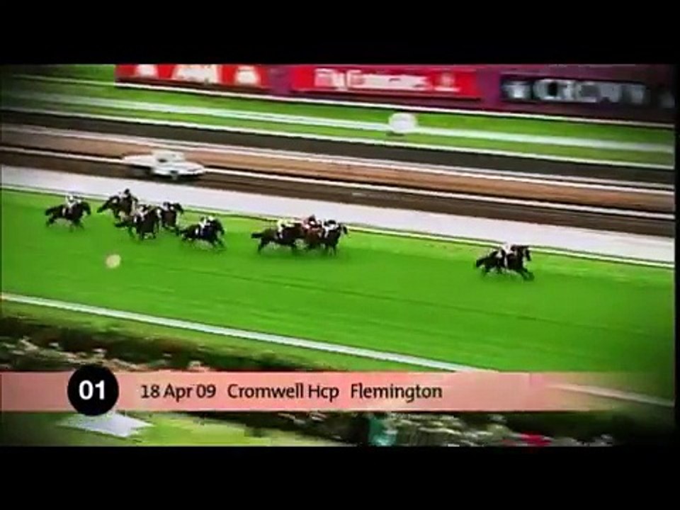 Black Caviar tribute