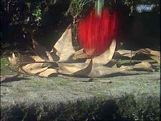 Bertin Osborne - Dos corazones y un destino (Karaoke)