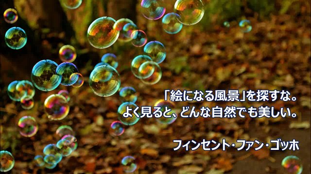 探求心をくすぐられる名言【ゴッホ】～本沢拓真（経営アドバイザー）が随時アップ