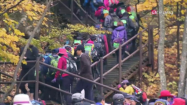 Forest ICT: Protecting healthy mountains with ICT!