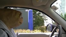 STONE COLD E.T. - Hilarious drive thru WWE
