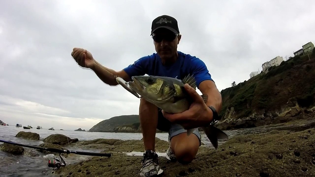 Sea Bass captured with ZZ stalker the Neo Fishing