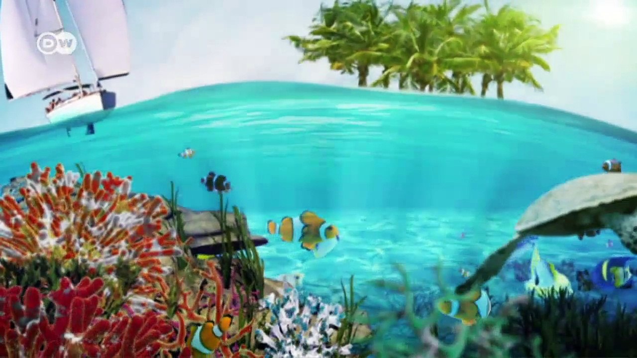 Schwämme retten die Lagune von Jambiani | Global 3000