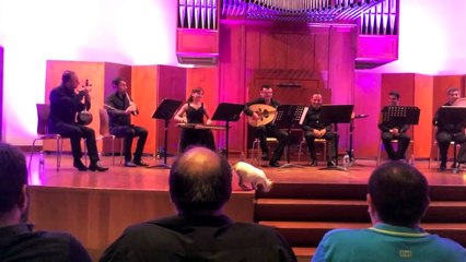 Ce chat, qui a clairement très bon goût en matière de musique, s'invite sur scène durant un concert.