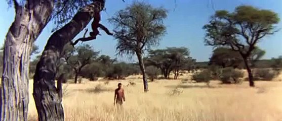 Gods must be crazy.... Xi sure can handle gun